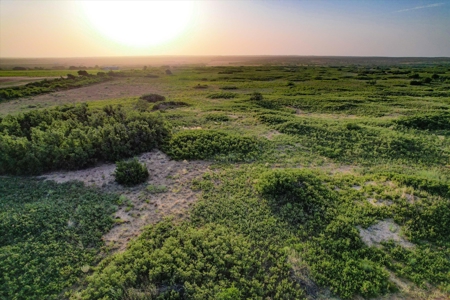 Prime Hunting Property Childress TX - 160 Acres - image 7