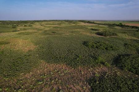 Prime Hunting Property Childress TX - 160 Acres - image 31