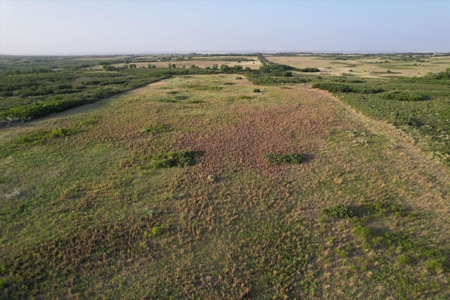 Prime Hunting Property Childress TX - 160 Acres - image 15