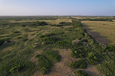 Prime Hunting Property Childress TX - 160 Acres - image 5