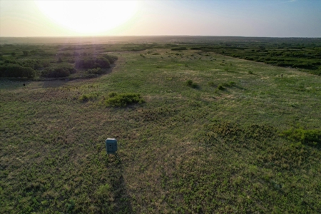 Prime Hunting Property Childress TX - 160 Acres - image 14
