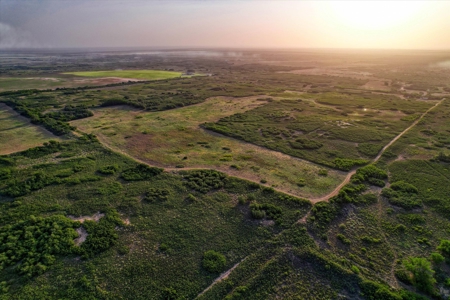 Prime Hunting Property Childress TX - 160 Acres - image 16