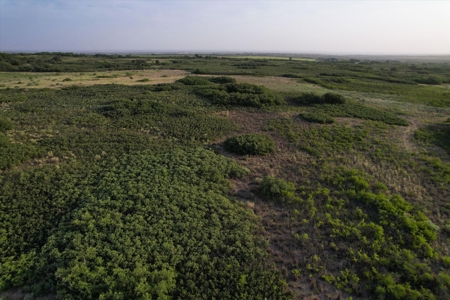Prime Hunting Property Childress TX - 160 Acres - image 23