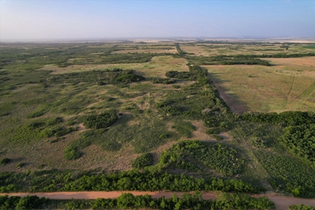 Prime Hunting Property Childress TX - 160 Acres - image 2