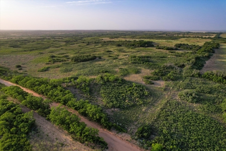 Prime Hunting Property Childress TX - 160 Acres - image 4
