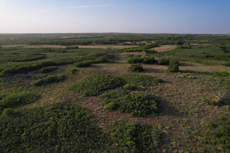 Prime Hunting Property Childress TX - 160 Acres - image 32