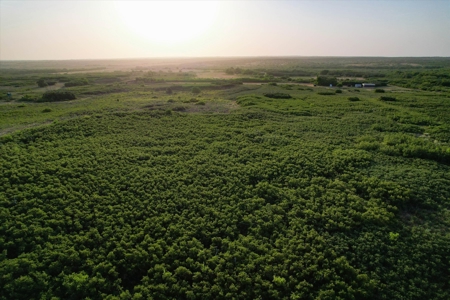 Prime Hunting Property Childress TX - 160 Acres - image 24