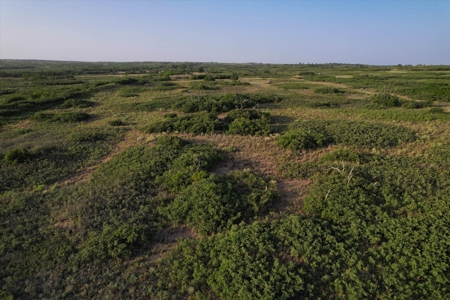 Prime Hunting Property Childress TX - 160 Acres - image 30
