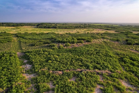 Prime Hunting Property Childress TX - 160 Acres - image 21