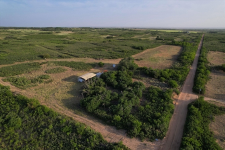 Prime Hunting Property Childress TX - 160 Acres - image 45