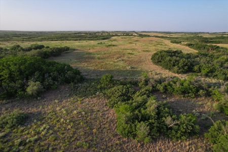 Prime Hunting Property Childress TX - 160 Acres - image 9