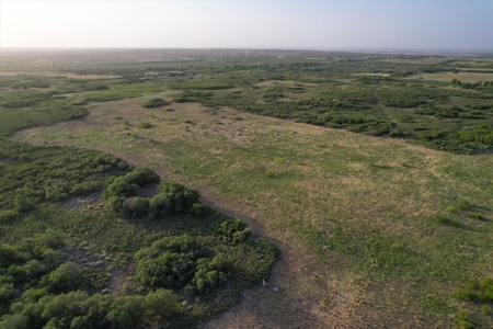 Prime Hunting Property Childress TX - 160 Acres - image 12