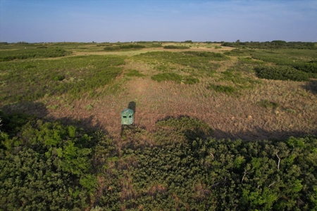 Prime Hunting Property Childress TX - 160 Acres - image 33