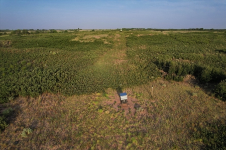 Prime Hunting Property Childress TX - 160 Acres - image 37