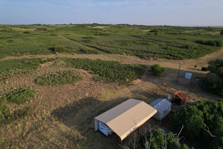 Prime Hunting Property Childress TX - 160 Acres - image 44