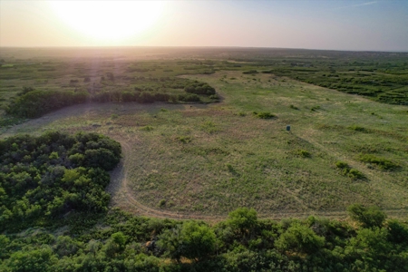 Prime Hunting Property Childress TX - 160 Acres - image 10