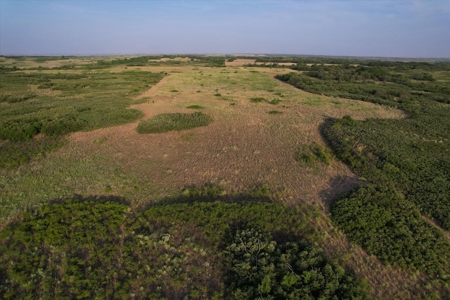 Prime Hunting Property Childress TX - 160 Acres - image 25