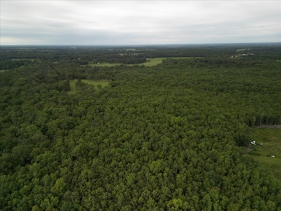 Missouri Business/Investment Opportunity - image 6