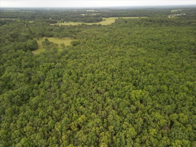 Missouri Business/Investment Opportunity - image 8