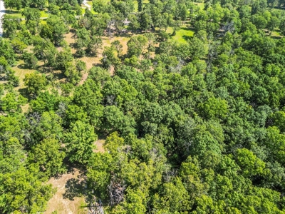 Charming Hobby Farm in West Plains, Howell County, Missouri - image 27