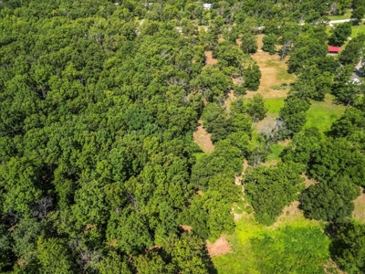 Charming Hobby Farm in West Plains, Howell County, Missouri - image 28