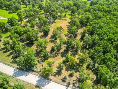 Charming Hobby Farm in West Plains, Howell County, Missouri - image 26