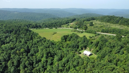 3 Bed Home For Sale Bordering Ozark National Forest Newton C - image 24