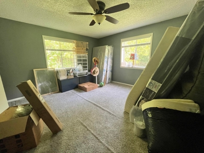 3 Bed Home For Sale Bordering Ozark National Forest Newton C - image 14
