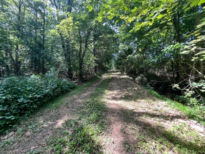 3 Bed Home For Sale Bordering Ozark National Forest Newton C - image 26
