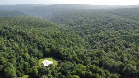 3 Bed Home For Sale Bordering Ozark National Forest Newton C - image 1