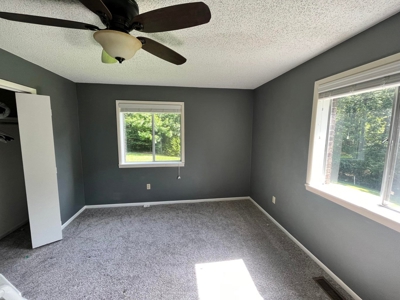 3 Bed Home For Sale Bordering Ozark National Forest Newton C - image 13