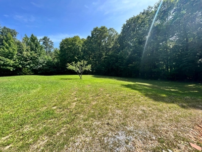3 Bed Home For Sale Bordering Ozark National Forest Newton C - image 23