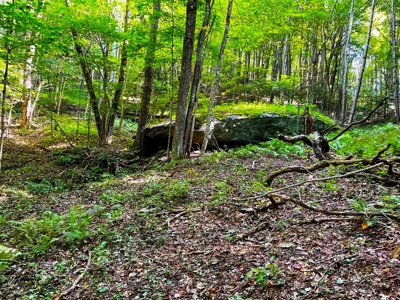 Grayson County VA Land For Sale - image 7