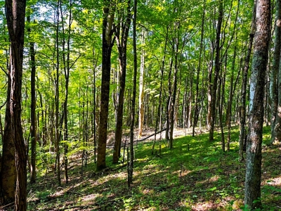 Grayson County VA Land For Sale - image 9