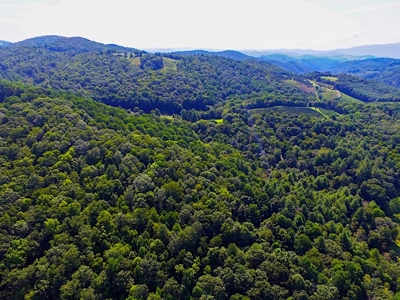 Grayson County VA Land For Sale - image 19
