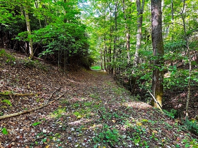 Grayson County VA Land For Sale - image 4
