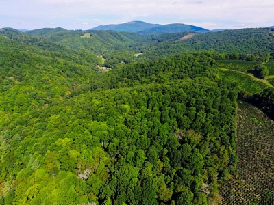 Grayson County VA Land For Sale - image 15