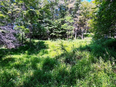Grayson County VA Land For Sale - image 12