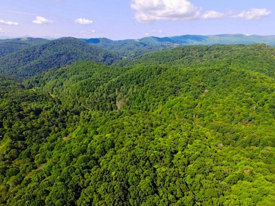 Grayson County VA Land For Sale - image 17