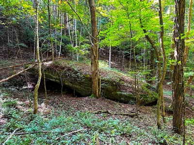 Grayson County VA Land For Sale - image 6