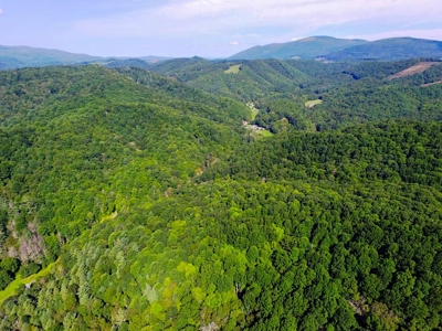 Grayson County VA Land For Sale - image 16