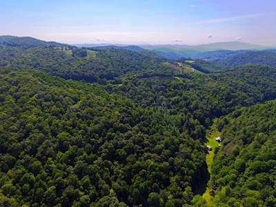 Grayson County VA Land For Sale - image 20