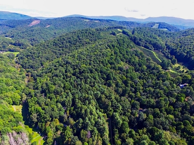 Grayson County VA Land For Sale - image 21
