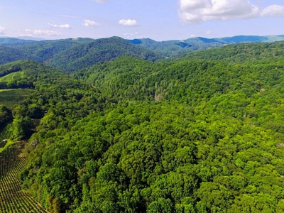 Grayson County VA Land For Sale - image 18