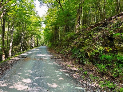 Grayson County VA Land For Sale - image 13