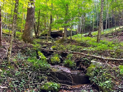 Grayson County VA Land For Sale - image 5