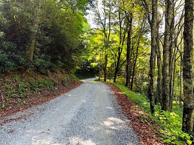 Grayson County VA Land For Sale - image 2