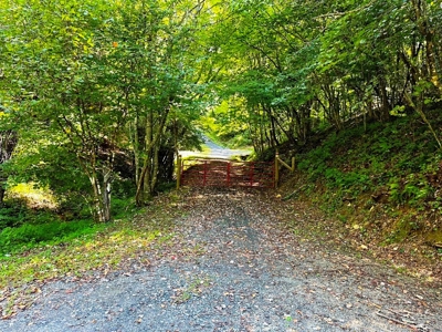 Grayson County VA Land For Sale - image 3