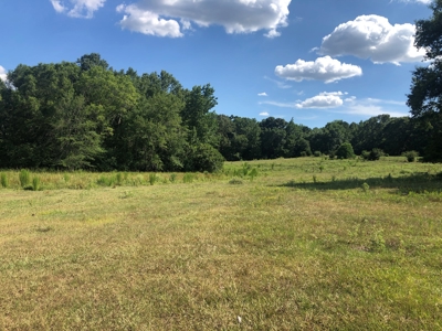 5 Acres Of Prime Land For Sale In Harrison County - image 2
