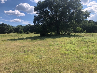5 Acres Of Prime Land For Sale In Harrison County - image 1